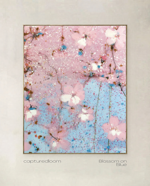 Blossom on Blue — art print of blossom scattered across a rose and pale blue field