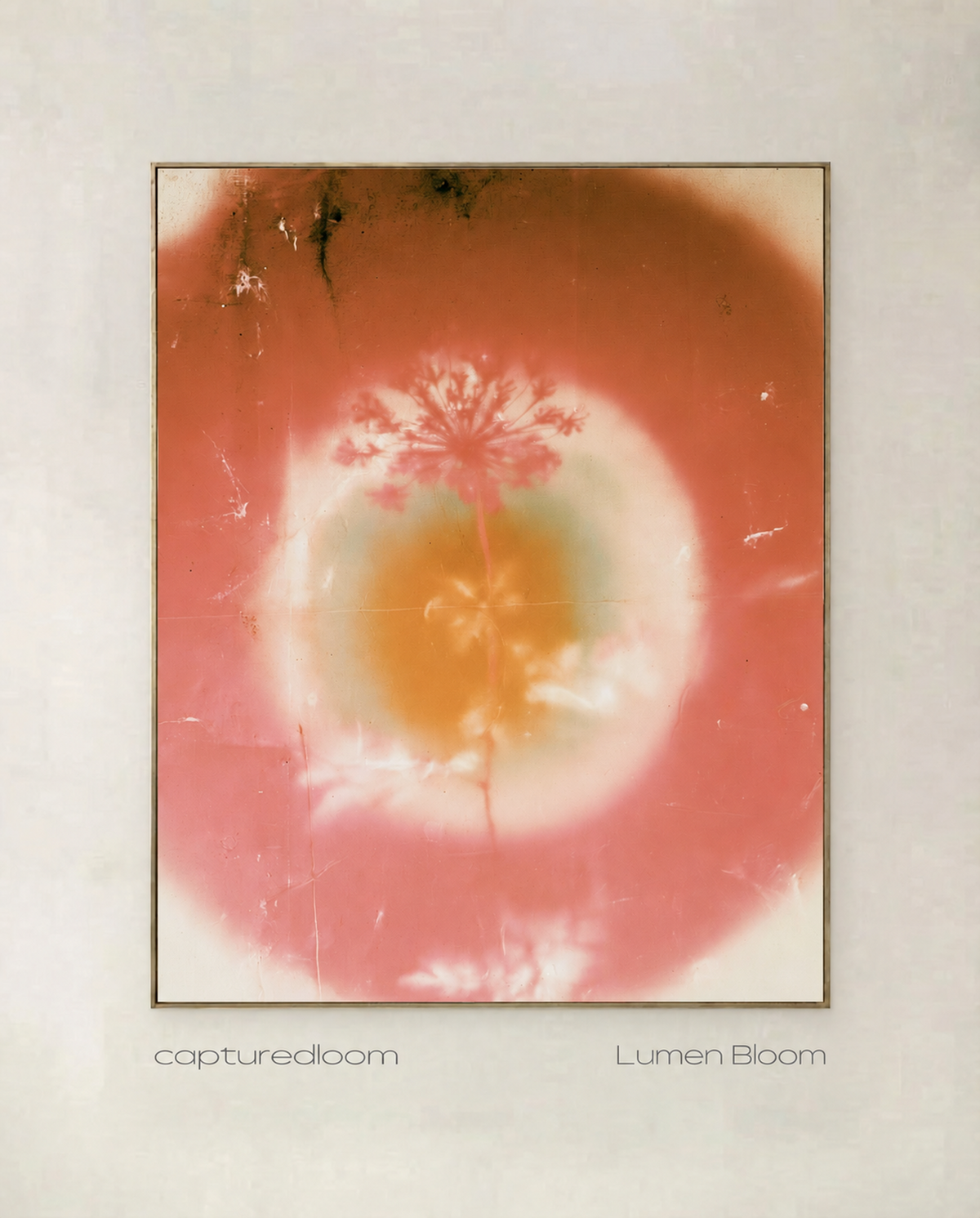Lumen Bloom — botanical art print of a glowing bloom haloed in warm light